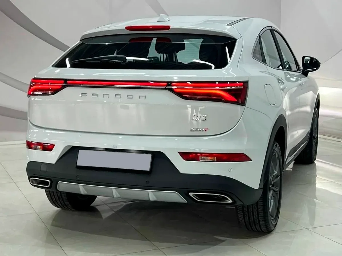 DFM Dfsk IX5