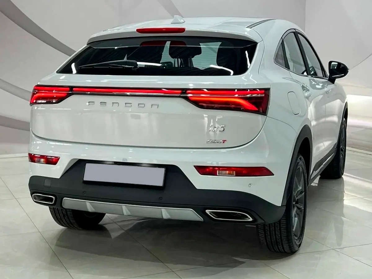 DFM Dfsk IX5